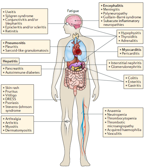 免疫相关不良反应可累及多个器官和组织.png
